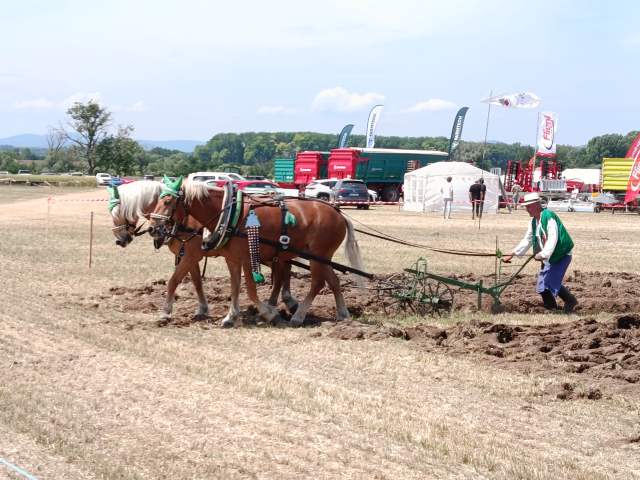 IMG_20260609_114349